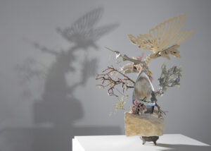 Thorns & Living Systems: Jayne Lawrence,  Leigh Anne Lester, cactusBRA/cactusBARN Artist Talk