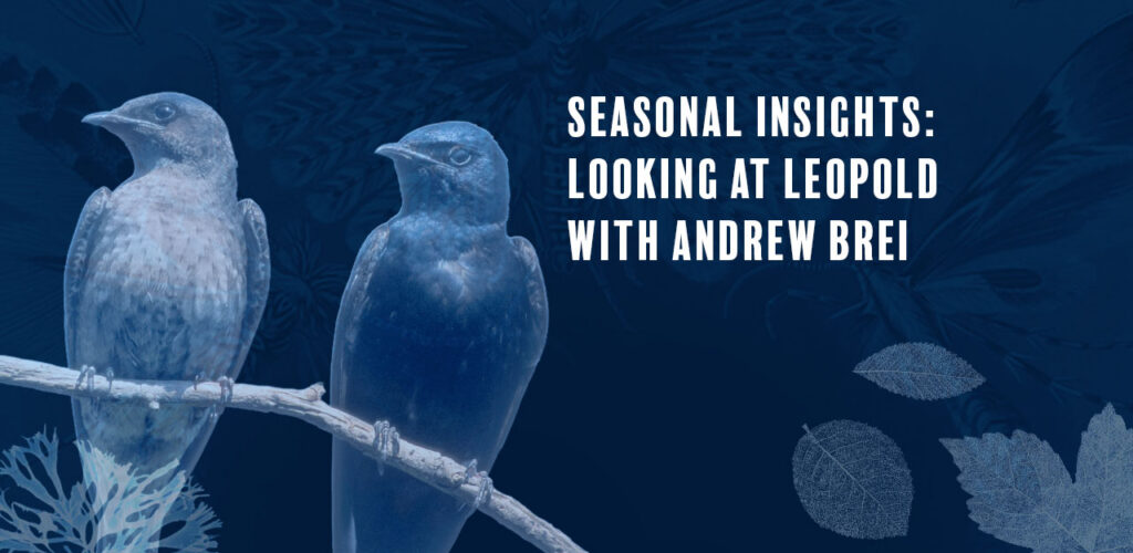 Arts & Ecology graphic with birds in blue with blue background
