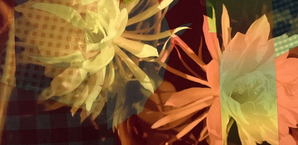 Fussell -Night Bloom Cereus