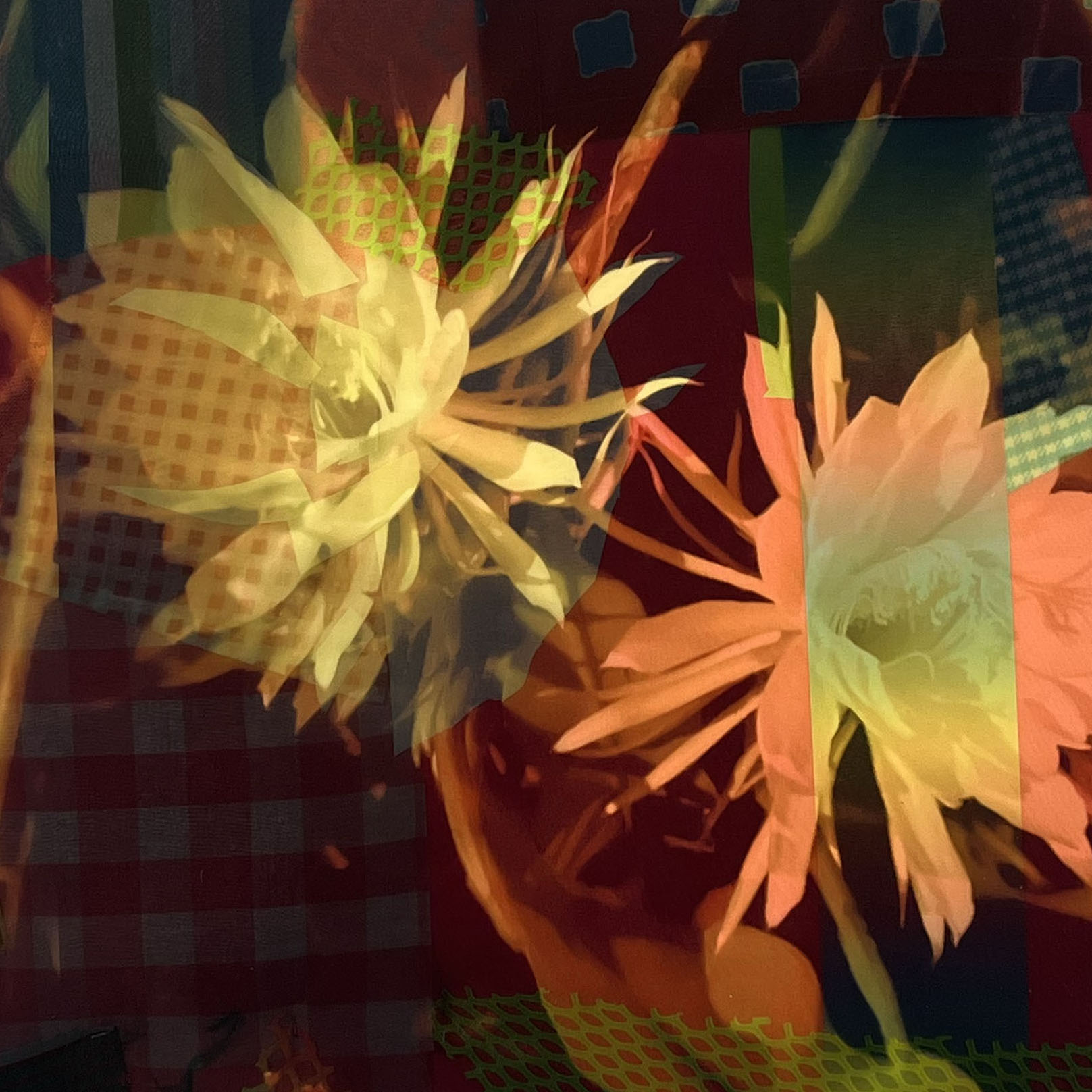 Fussell -Night Bloom Cereus